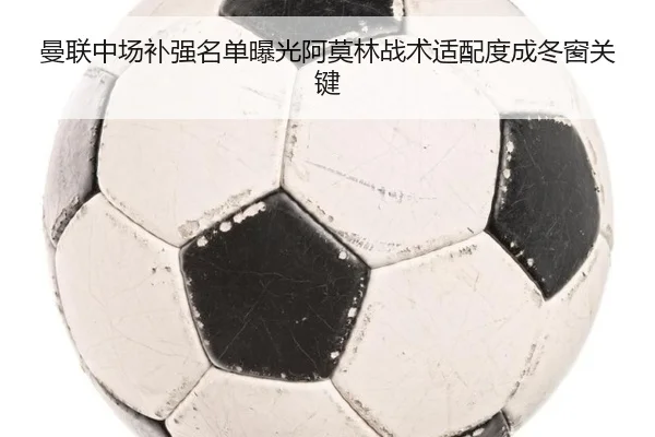 曼联中场补强名单曝光阿莫林战术适配度成冬窗关键